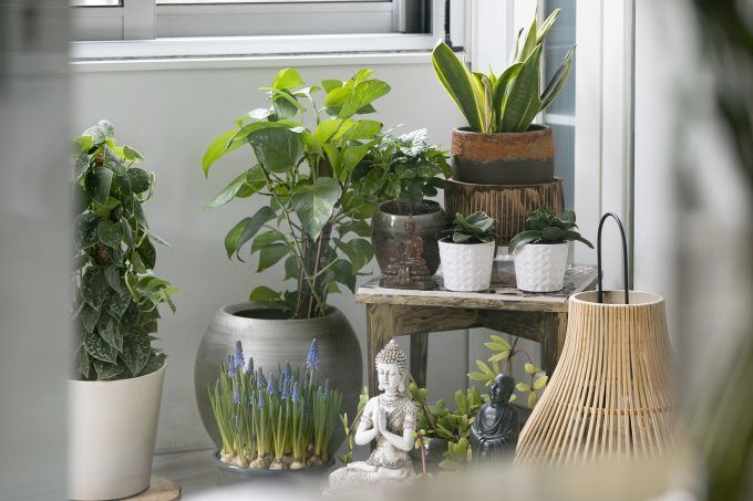 Aandachtspunten bij het kopen van een appartement in Amsterdam: Hoe een makelaar je kan bijstaan | Thoma Post makelaars