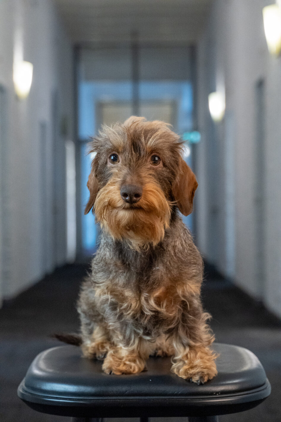 Jackie | Thoma Post Amsterdam