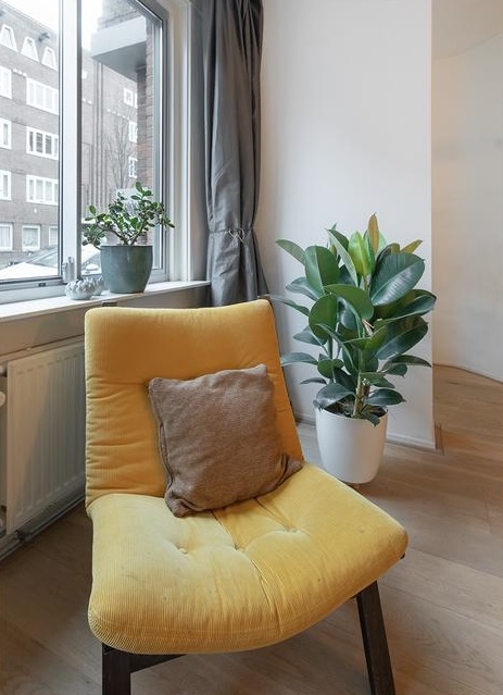 woning amsterdam noord overbieden | Thoma Post Makelaars